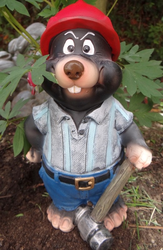 Maulwurf mit großem Hammer Garten Figur NEU eBay